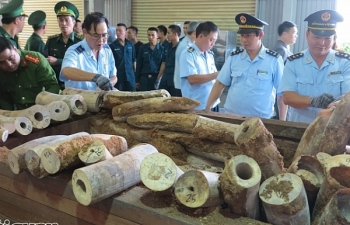 Hải quan Việt Nam phát hiện nhiều vụ vi phạm Công ước CITES có quy mô lớn
