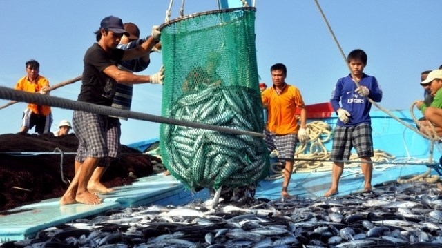 EU thay đổi thủ tục liên quan đến thủy hải sản nhập khẩu