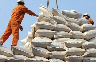 Từ 0 giờ ngày 28/4: Tiếp tục đăng ký tờ khai xuất khẩu gạo từ các tờ khai bị hủy