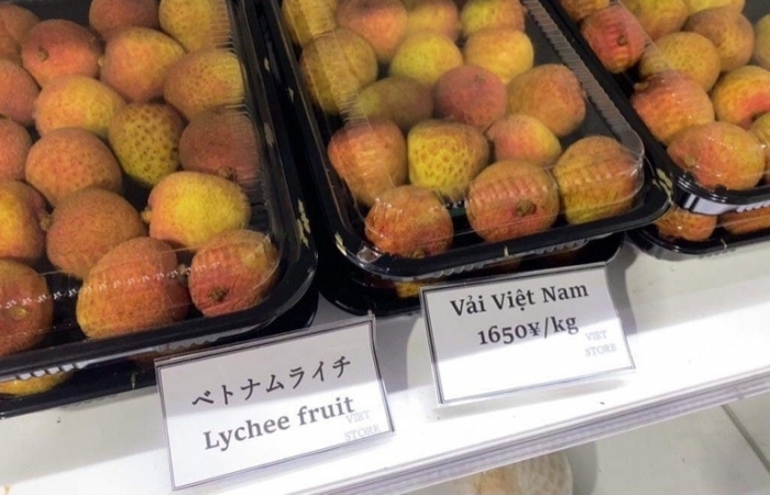 Người Nhật chỉ cách đẩy mạnh xuất khẩu nông sản Việt vào Nhật