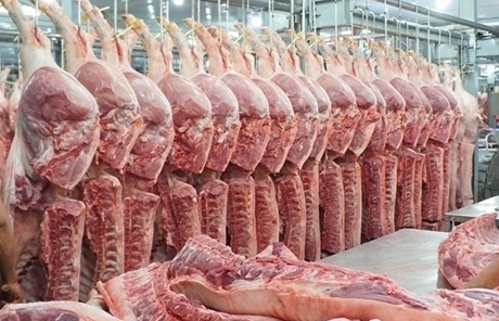 Giải quyết thủ tục hải quan thuận lợi mặt hàng thịt lợn nhập khẩu