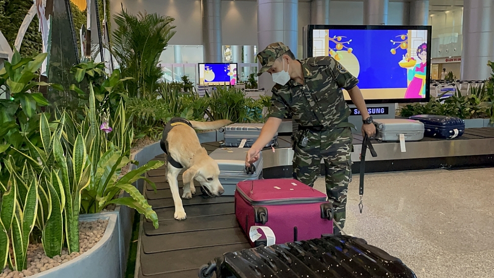 Hải quan Đà Nẵng sử dụng sử dụng chó nghiệp vụ để tuần tra, kiểm soát