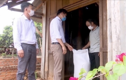 Tỉnh Đắk Lắk đã nhận đủ hơn 534 tấn gạo dự trữ hỗ trợ cho người dân