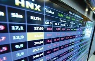 Giá trị vốn hóa thị trường cổ phiếu niêm yết trên HNX đạt hơn 206 nghìn tỷ đồng