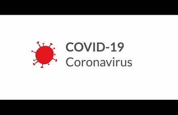 Hải quan toàn cầu nỗ lực giảm thiểu tác động của đại dịch  Covid-19