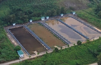 Xét nghiệm hàm lượng Styren: Không nói lên được chất lượng nước của Nhà máy nước sạch sông Đà