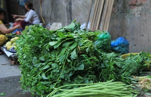 Giá rau xanh ở Hà Nội biến động cục bộ