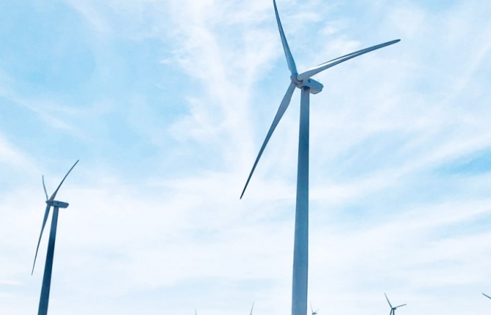 Hải quan Cà Mau thu ngân sách tăng hơn 1.600% nhờ các dự án điện gió