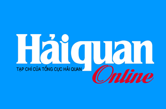 haiquanonline.com.vn