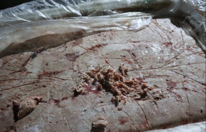 Lạng Sơn: Thu giữ 3,3 tấn nầm lợn đông lạnh