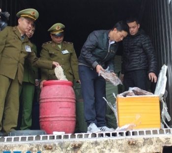 Lạng Sơn bắt giữ trên 11 tấn nội tạng động vật không có nguồn gốc xuất xứ