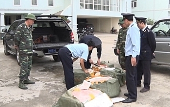 Hải quan Hữu Nghị bắt và tiêu hủy 300 kg sản phẩm từ lợn nhập lậu