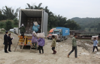 Hải quan Lạng Sơn: Kiểm chặt phân bón, thuốc bảo vệ thực vật giả