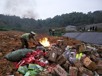 Lạng Sơn: Tiêu hủy 63 mặt hàng vi phạm trị giá gần 900 triệu đồng