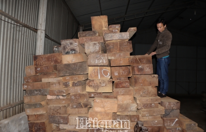 Lào điều chỉnh chính sách, nhập khẩu gỗ qua địa bàn Hà Tĩnh khởi sắc