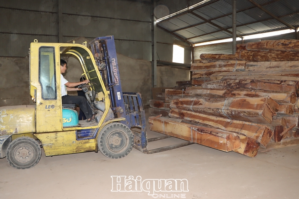 Hoạt động bốc xếp gỗ của Công ty TNHH Tùng Minh. Ảnh: Phan Trâm