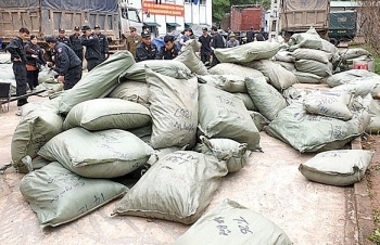 Xử lý trách nhiệm tập thể, cá nhân liên quan đến vụ buôn lậu 100 tấn thuốc bắc tại Lạng Sơn