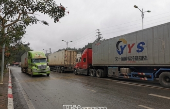 Lạng Sơn: Cần giải pháp gỡ khó trong hoạt động xuất nhập khẩu hàng hoá 