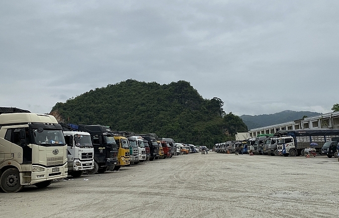 Lạng Sơn: Dừng tiếp nhận hàng hoá lên cửa khẩu Tân Thanh để xuất khẩu