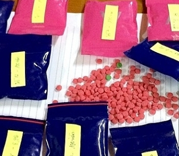Biên phòng Nghệ An bắt một đối tượng tàng trữ 3.000 viên ma túy tổng hợp