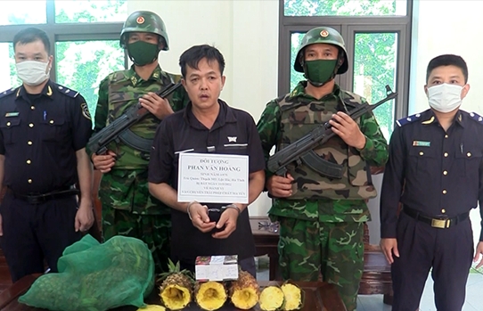 Hải quan Hà Tĩnh phối hợp bắt giữ đối tượng giấu ma túy trong quả dứa