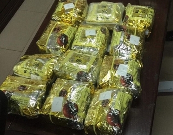 Nghệ An: Bắt 1 đối tượng vận chuyển 12 kg ma túy đá