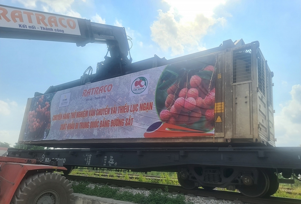 Ratraco cung cấp container lạnh để bảo quản vải tươi và thục hiện vận chuyển về ga Đồng Đăng để XK sang Trung Quốc. Ảnh: Tuấn Dương