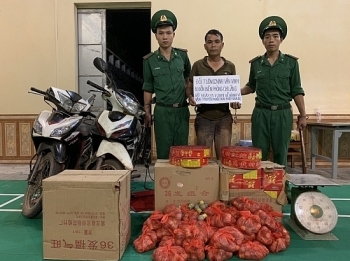 Lạng Sơn: Bắt đối tượng mua bán, vận chuyển 98 kg pháo nổ