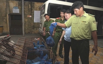 Hải quan Cầu Treo phối hợp bắt 140 kg tê tê từ Lào về Việt Nam