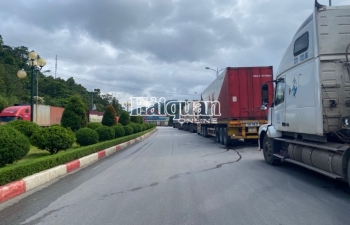 Phương tiện vận chuyển hàng XNK qua cửa khẩu quốc tế Hữu Nghị tăng cao