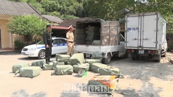 Lạng Sơn: Bắt giữ 2,3 tấn nầm lợn không có hóa đơn chứng từ