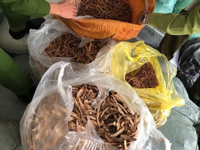 Lạng Sơn: Bắt giữ 210 kg nguyên liệu thuốc bắc vận chuyển lậu qua biên giới
