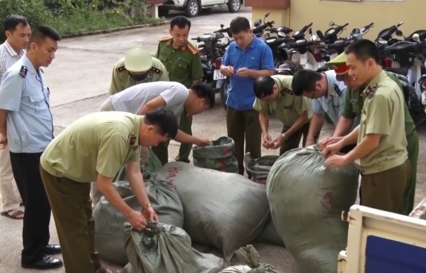 Hải quan Chi Ma phối hợp tạm giữ gần 350 kg nguyên liệu thuốc bắc