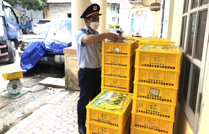 Lạng Sơn: Ngăn 1.650 kg nho xanh Trung Quốc lậu đang vận chuyển đi tiêu thụ