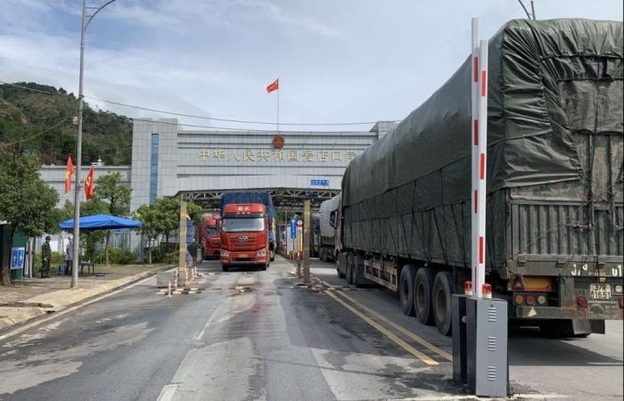 Lạng Sơn: Triển khai đề án thí điểm nhập khẩu dược liệu qua cửa khẩu Chi Ma