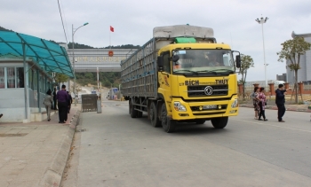 Lạng Sơn: Đưa tuyến đường chuyên dụng vận tải hàng hóa XNK vào hoạt động