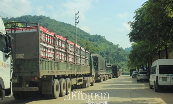 Gần 700 xe hàng nông sản vẫn nằm lại ở khu vực cửa khẩu Tân Thanh