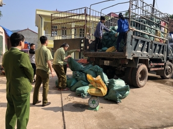 Lạng Sơn: Liên tiếp bắt các vụ vận chuyển thực phẩm bẩn