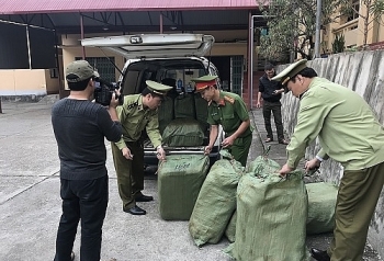 Lạng Sơn: Bắt giữ 600kg nầm lợn đã bốc mùi hôi thối