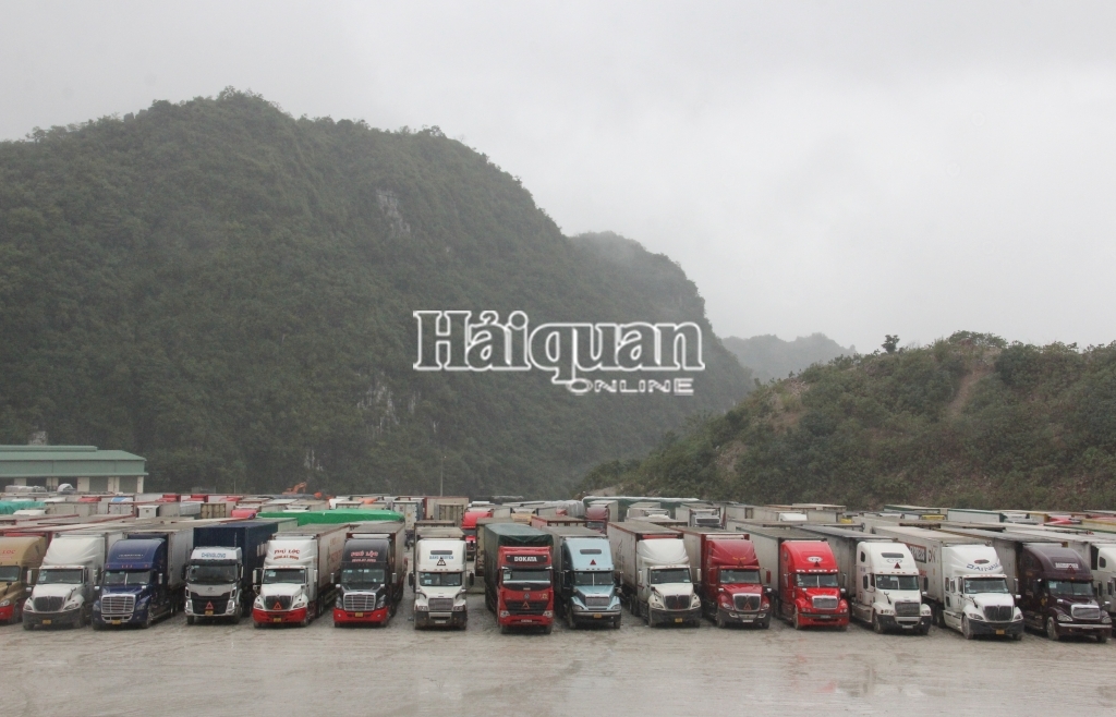 Lạng Sơn: Khẩn trương xác minh, xử lý vụ hoán đổi “lốt” xe xuất khẩu