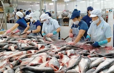 Gia tăng tỷ trọng thuỷ hải sản tiêu thụ thị trường nội địa