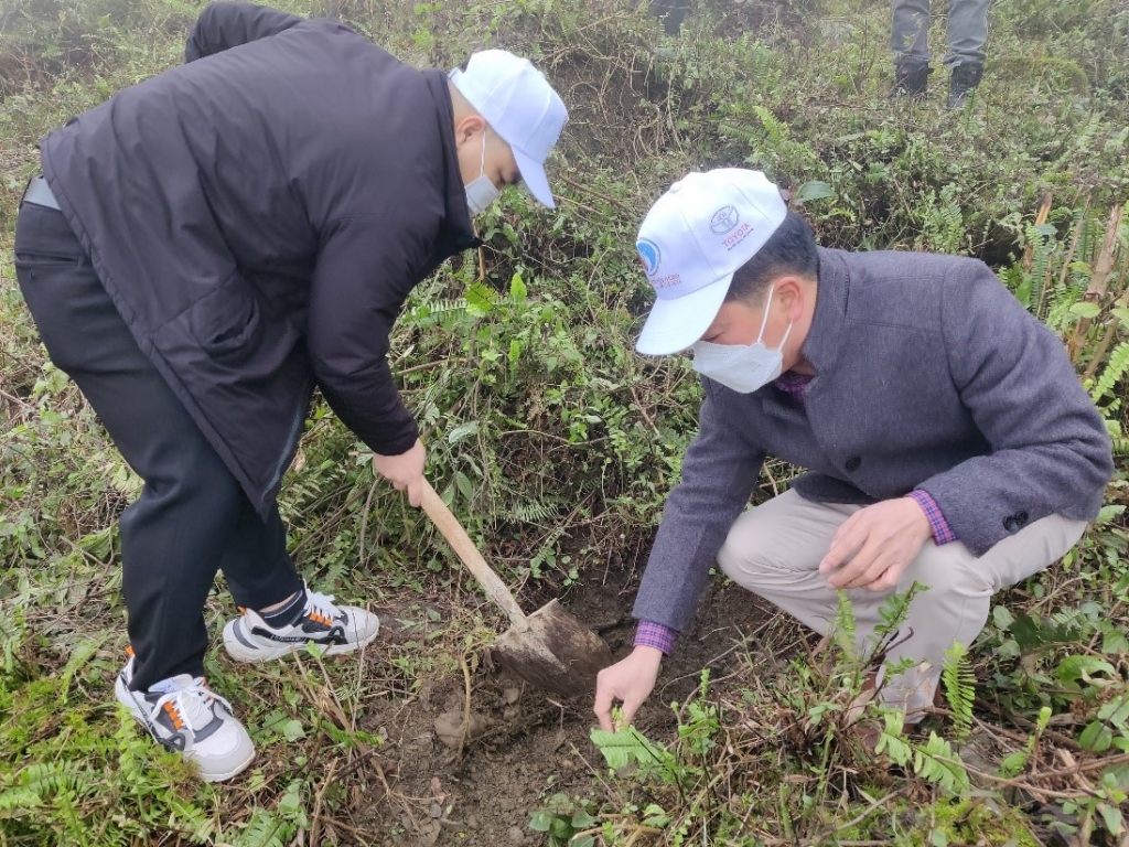 Toyota Việt Nam đồng hành cùng Chương trình “Một tỷ cây xanh – Vì Việt Nam xanh”