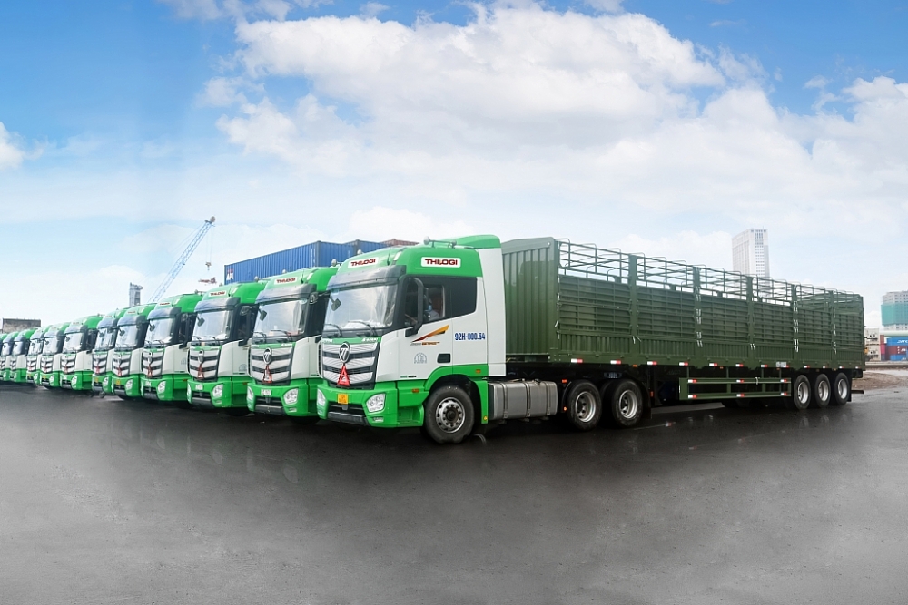 THILOGI cung ứng dịch vụ vận chuyển gia súc chuyên nghiệp