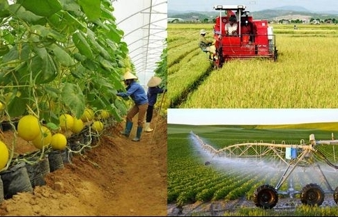 Đến 2025, tốc độ tăng trưởng giá trị ngành nông nghiệp từ 2,5-3%/năm