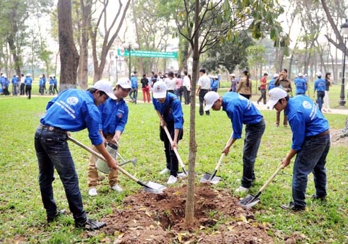 Chính thức trình Thủ tướng đề án trồng 1 tỷ cây xanh