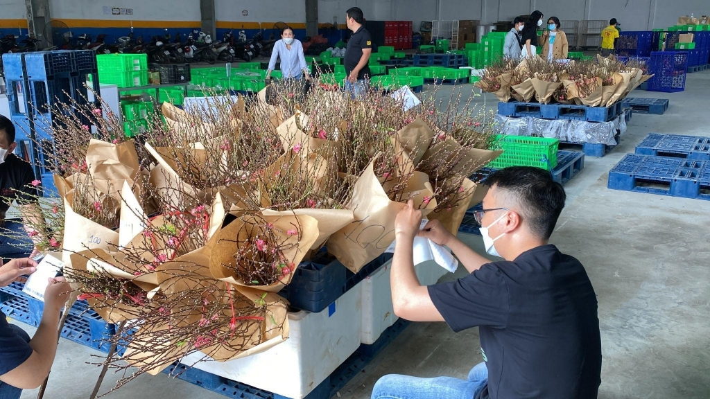 Nông sản Việt ngập tràn sàn thương mại điện tử mùa Tết