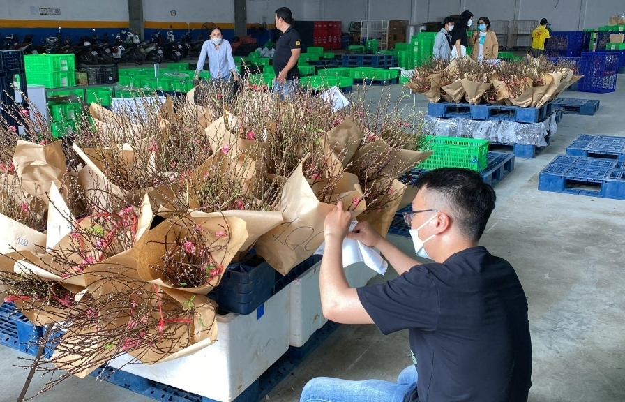 Nông sản Việt ngập tràn sàn thương mại điện tử mùa Tết