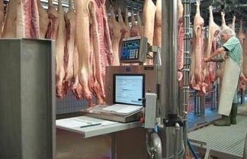 Tới 80-90% nguồn cung thịt lợn Tết đến từ các doanh nghiệp