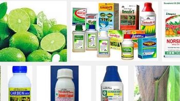 380 loại thuốc bảo vệ thực vật bị loại khỏi danh mục