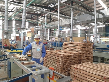 “Mổ xẻ” chuyện doanh nghiệp FDI dồn vốn vào ngành gỗ